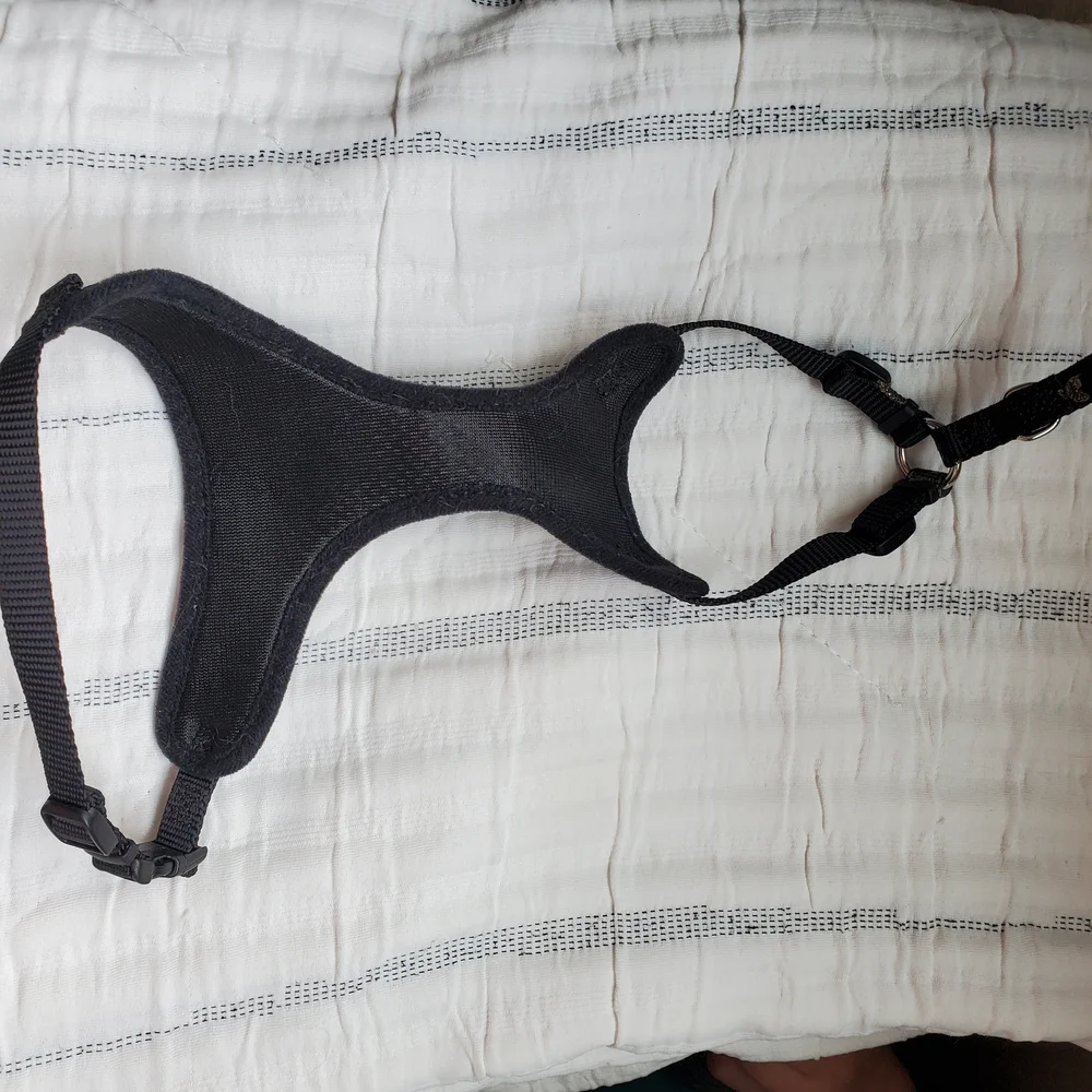 Coastal Medium Mesh Cat Harness
